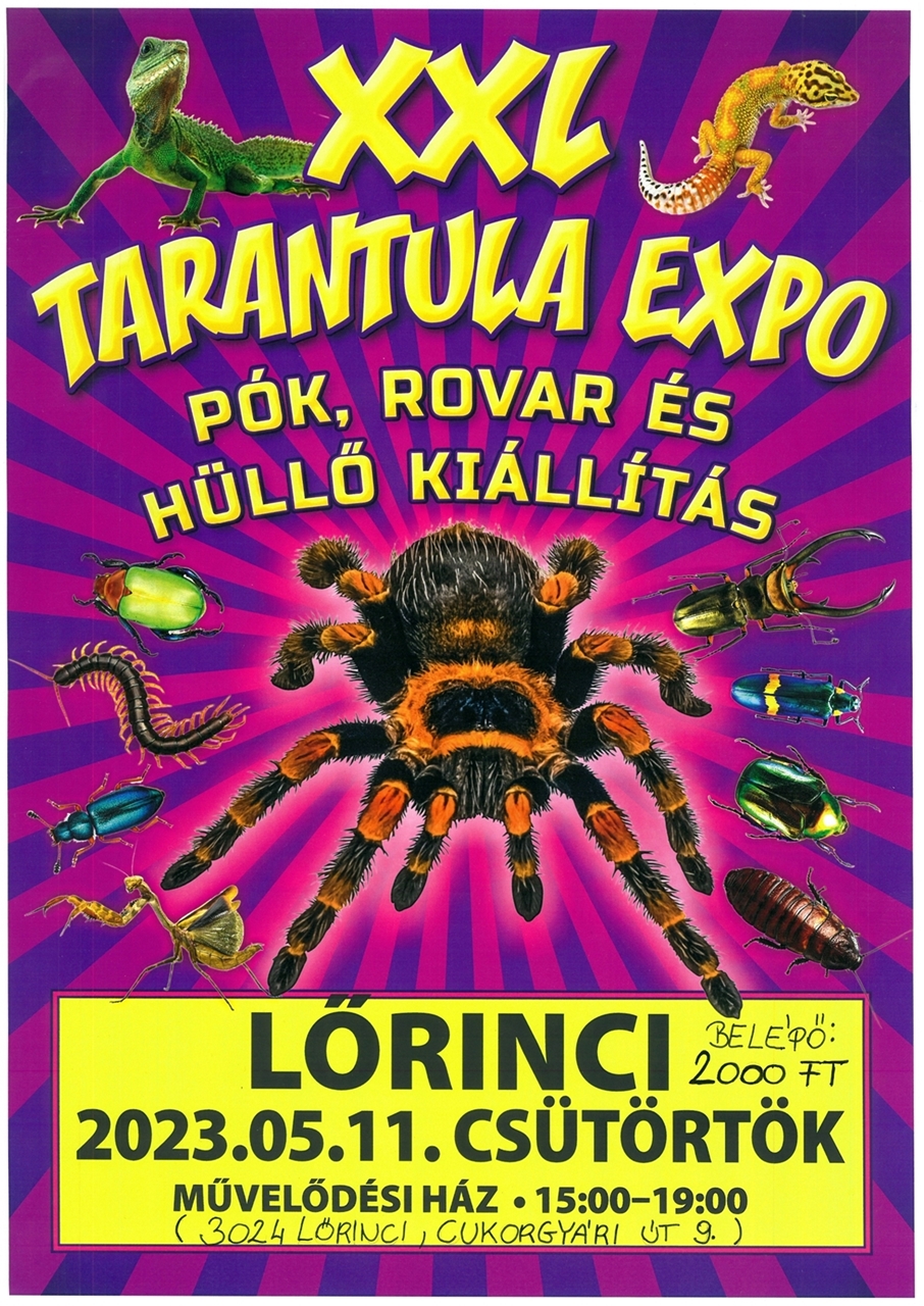 2023.05.11.XXL Tarantula Expo2